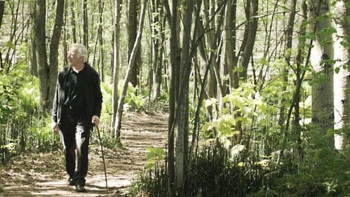 Le journal d'un vieil homme Bild 1