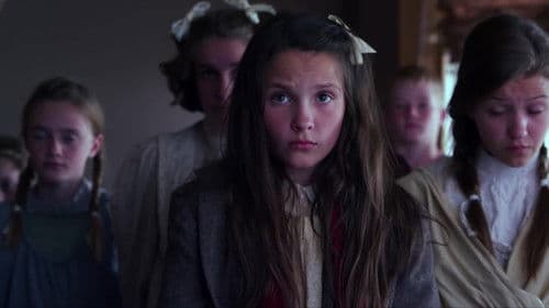 Orangen zu Weihnachten Bild 1