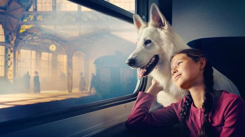 Lampo: Ein Vierbeiner auf Reisen Bild 4