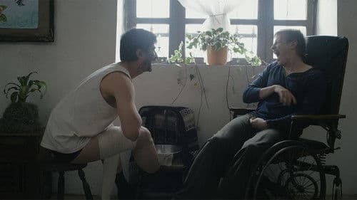 Nubes grises soplan sobre el campo verde Bild 1