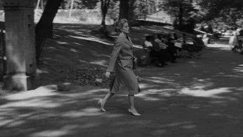 Wilde Knospen Bild 7