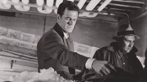 The Hanged Man Bild 1