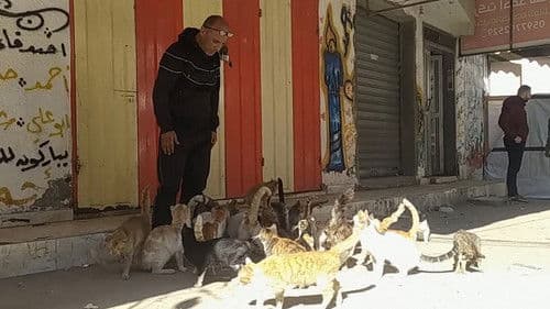 قصص غير محكية من غزة من المسافة صفر Bild 2