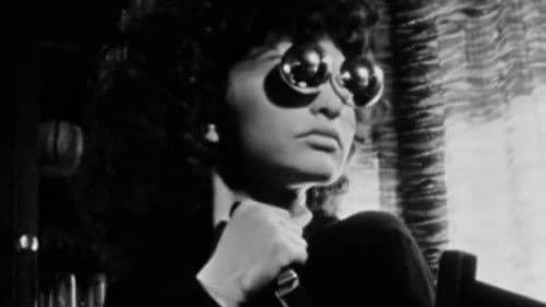 Meshes of the Afternoon Bild 3