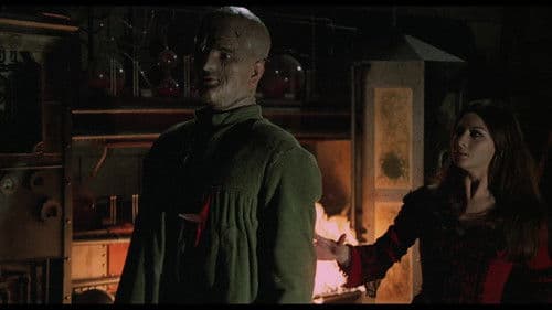 Lady Frankenstein Bild 2