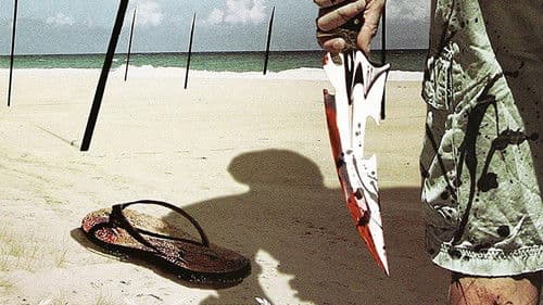 Lost Things - Strand der verlorenen Seelen Bild 1