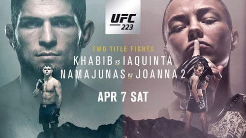 UFC 223: Khabib vs. Iaquinta Bild 1