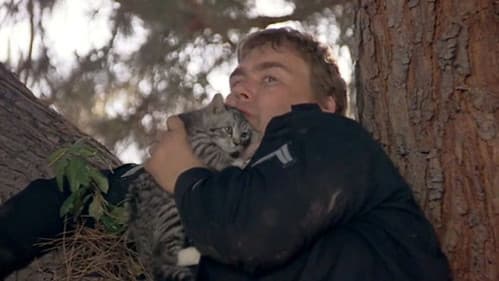 Zwei unter Volldampf Bild 5