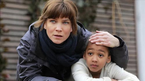 Irene Huss, Kripo Göteborg: Im Schutz der Schatten Bild 1