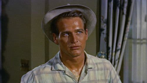 Der lange heiße Sommer Bild 7