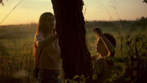 Arame Farpado Bild 1