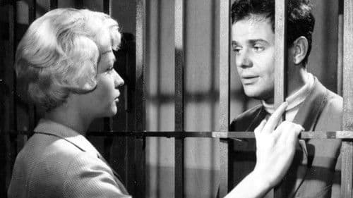 Rosen für den Staatsanwalt Bild 3