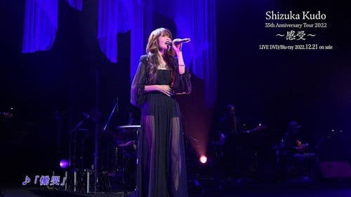 Shizuka Kudo 35th Anniversary Tour 2022 Bild 1