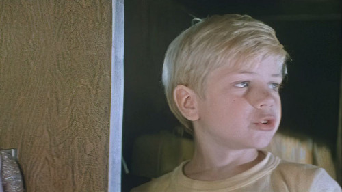 Дорогой мальчик Bild 1