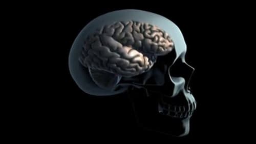 Drogues et cerveau Bild 1