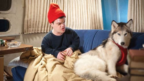 An Insignificant Harvey Bild 1