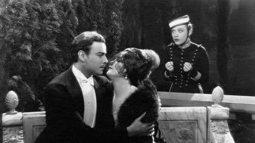 The Cardboard Lover Bild 6