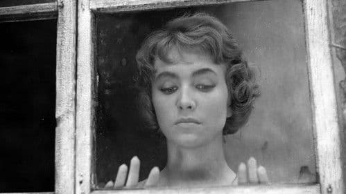 Nikt nie woła Bild 7