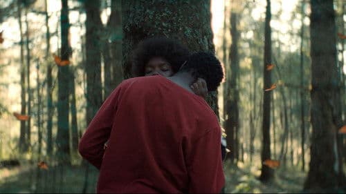 El jardín que soñamos Bild 2