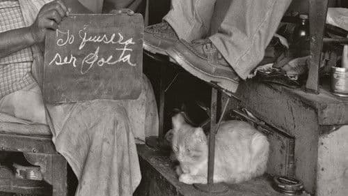 Mapa de sueños latinoamericanos Bild 1