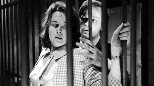 Die seltsame Gräfin Bild 1