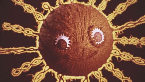 Ниточка та кошеня Bild 1