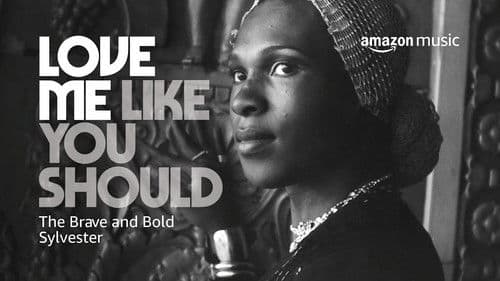Love Me Like You Should: The Brave and Bold Sylvester Bild 1