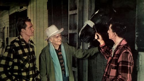 Blue Grass of Kentucky Bild 1