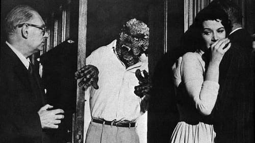 The Hideous Sun Demon Bild 1