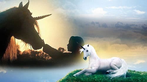 Das letzte Einhorn kehrt zurück Bild 1