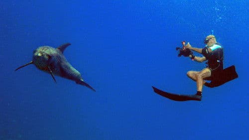 Homme et Dauphin : Mode d’emploi Bild 1