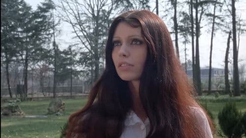 Les désaxées Bild 5