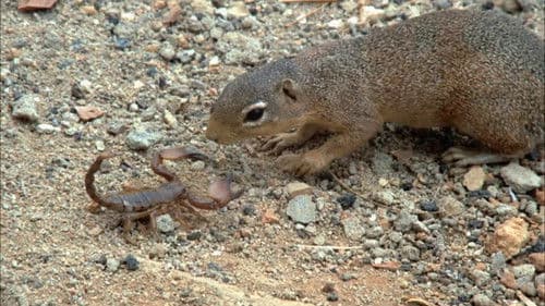 The End of the Game Bild 1