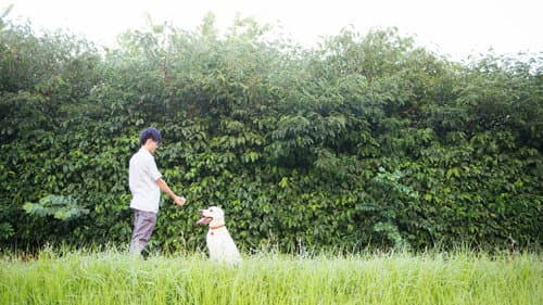 盲點 Bild 3