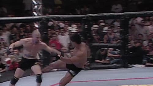 UFC 17.5: Ultimate Brazil Bild 1