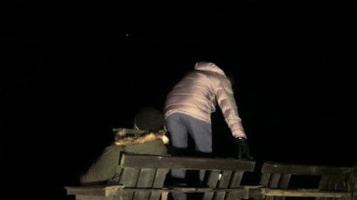 Zoom New Zealand Bild 2