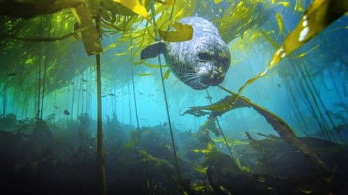 Amerikas Nationalparks Bild 5