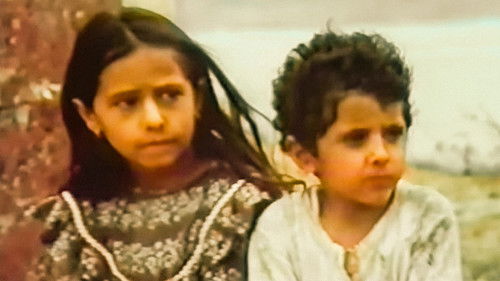 Menekşe Koyu Bild 3