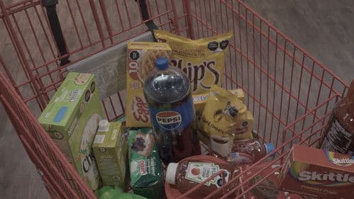 Pepe de mi Corazón Bild 2