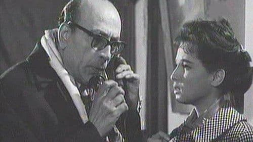 القط الأسود Bild 3