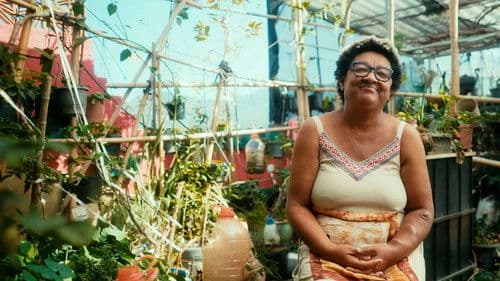 Dona Jacira - O Legado Bild 1