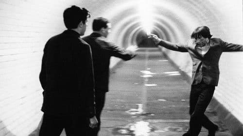 Bronco Bullfrog Bild 3