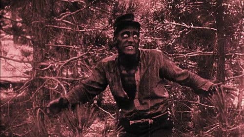 Birth of a Nation - Geburt einer Nation Bild 8