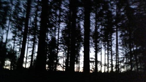 You're Reminded As You Fall Asleep Bild 7