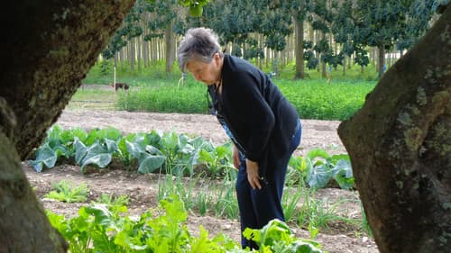 De tros en tros Bild 1