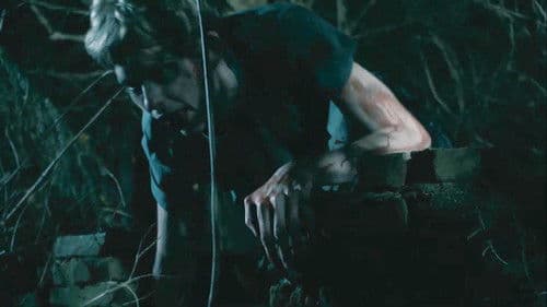 Vreemdelingen Bild 7