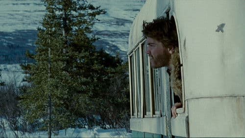 Into the Wild Bild 8