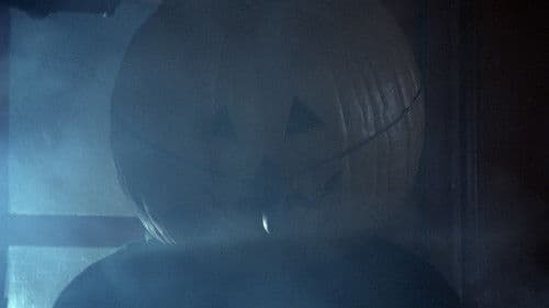 Wacko – Da wackelt die Bude Bild 6