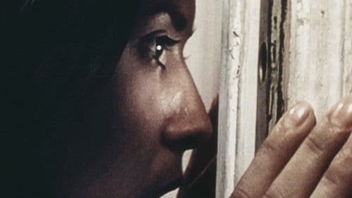 Them - Spiel oder stirb Bild 3