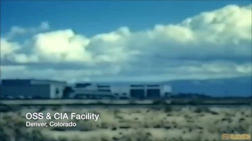 Chop Chop Chang: Operation C.H.I.M.P Bild 2